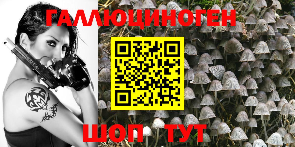 Губаха  Галлюциногенные грибы MAGIC MUSHROOMS  Вход с VPN  Галлюциногенные грибы Magic Shrooms 